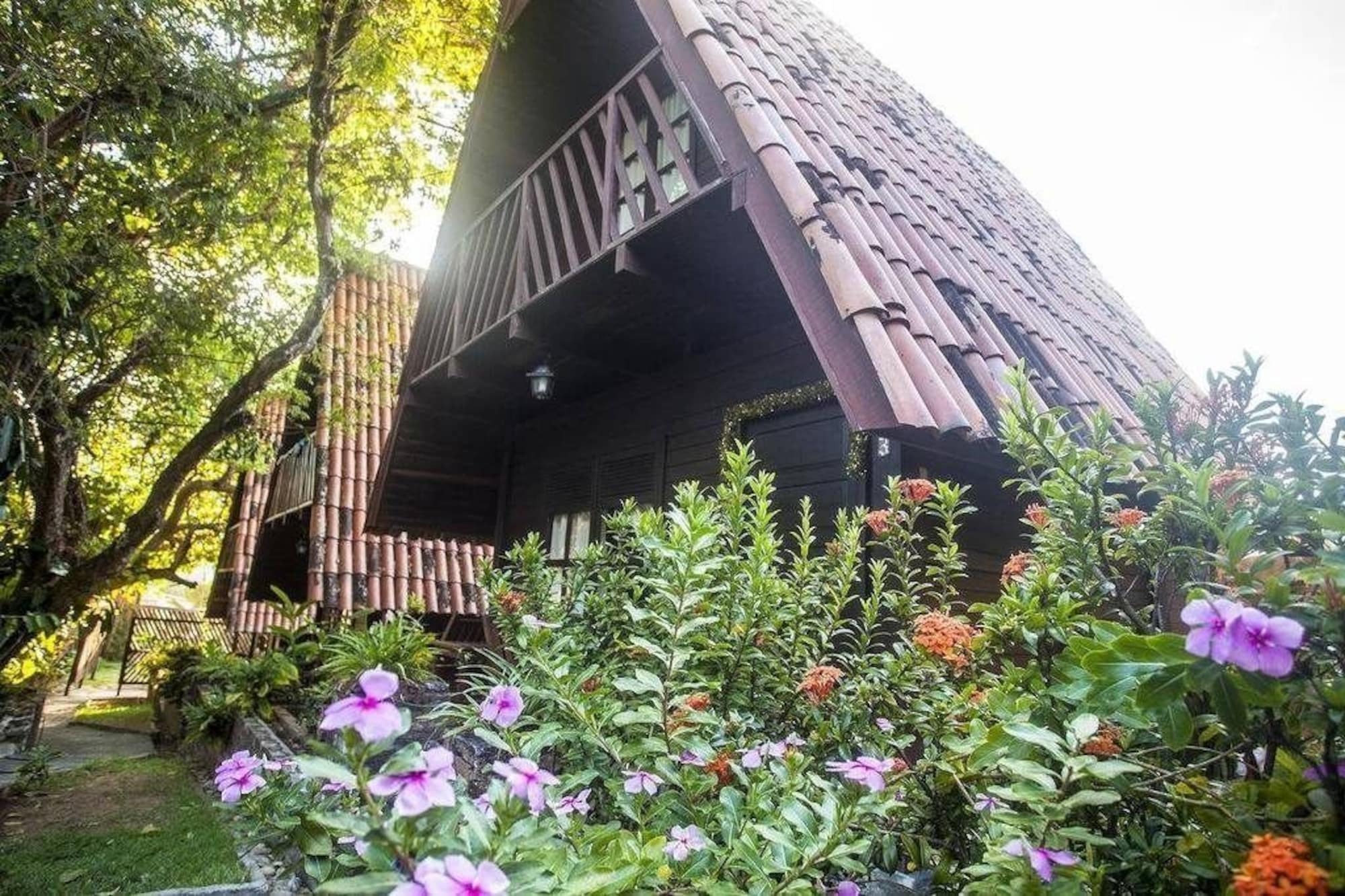 Chalet Suisse ناتال المظهر الخارجي الصورة